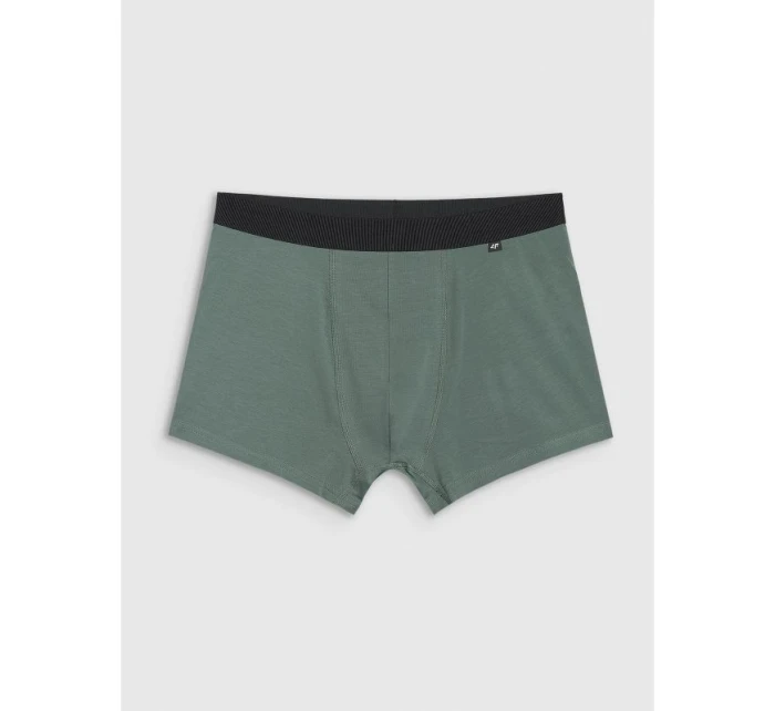 Pánské boxerky (2   92S model 21437491 - 4F