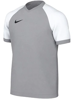 Detské tričko Nike Dri-FIT Trophy VI, sivé, HV8158 012