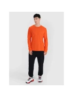 Pánské oversize hladké tričko s dlouhým rukávem model 21436426 pánské - 4F