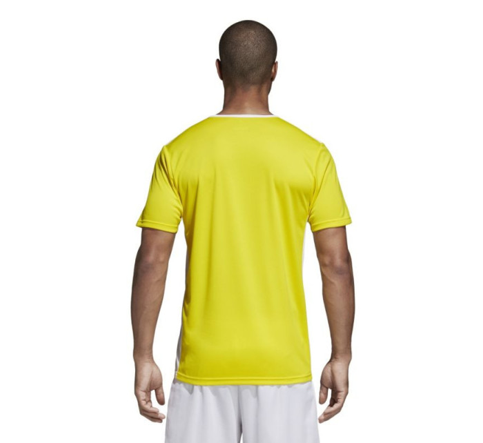 Entrada 18 unisex futbalové tričko CD8390 - Adidas