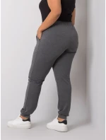 Tepláky RV DR model 21787877 tmavě šedá - FPrice