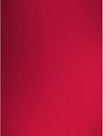 The One Towelling Recycled 100 Plážová osuška „Recycled“ 48.1061 bandera red