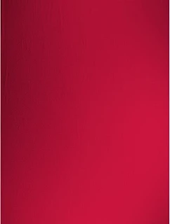 Recycled 100 Plážový ručník "Recycled"  red model 22527332 - The One Towelling