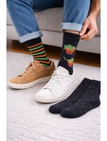 Pánské ponožky Premium A'3 model 20519934 - Cornette