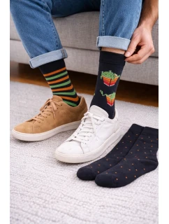 Pánské ponožky Premium A'3 model 20519934 - Cornette