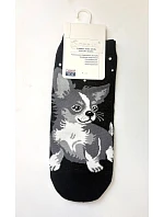 Nohy  3542 model 22092768 - WiK