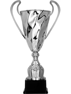 Strieborný kovový pohár