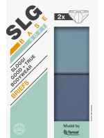 ZÁKLADNÝ SOFT BRIEF C2P