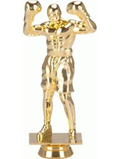 Plastový box F248/G