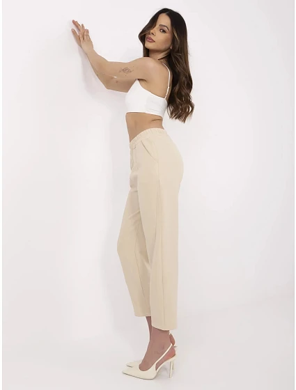 Spodnie TW SP BI model 21091722 beżowy - FPrice