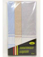 Pánské kapesníky  kusy model 21096977 - EGA