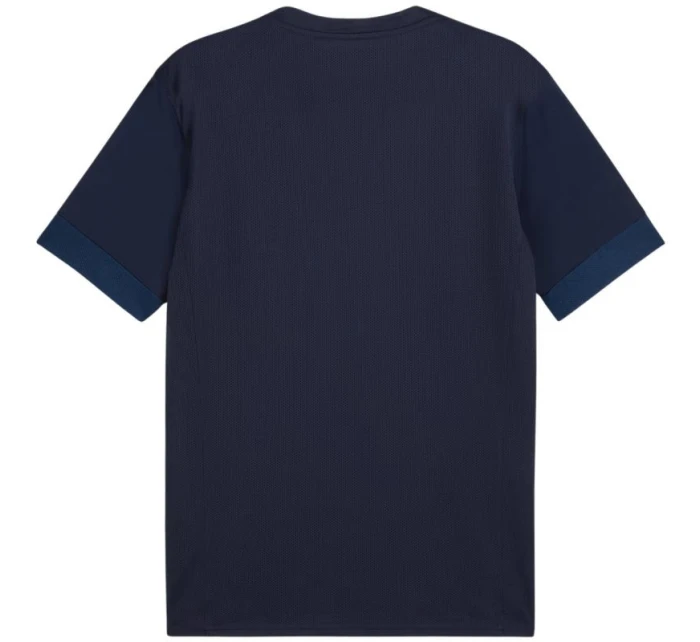 teamGoal Jersey M 06 pánské model 21283905 - Puma