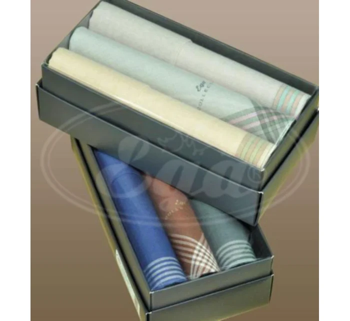 Pánska vreckovka CH-281 sada 3 kusov