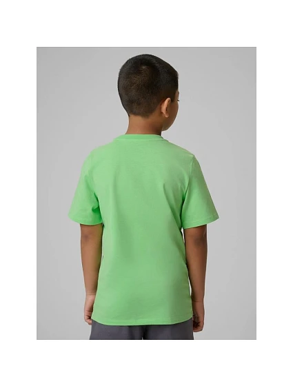 Chlapecké tričko s potiskem model 22132237 - 4F