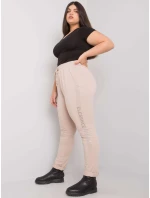 Tepláky RV DR 6897.53 béžové Tepláky RV DR 6897.53 béžové