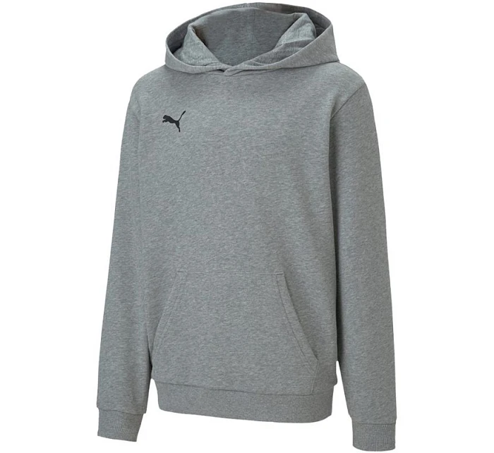 Detské nohavice TeamGOAL 23 Casuals Jr 656711 33 - Puma