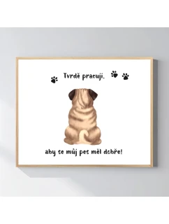 Personalizovaný magický fotoobraz v rámu - 40x50 - ilustrace zvířátka