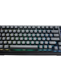 Herná USB klávesnica Ducky Tinker 75 nemecká čierna