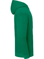 Iconic 250 Hooded Sweat Mikina s kapucí green model 22459141 - Fruit of the Loom Iconic 250 Hooded Sweat Mikina s kapucí green model 22459141 - Fruit of the Loom