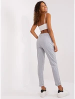 Spodnie dresowe RV DR model 19381472 szary - FPrice