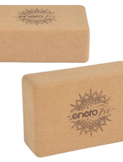 NA  FIT model 21824963 - Enero