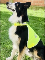 – Bezpečnostní vesta pro hi vis yellow model 22411254 - Korntex – Bezpečnostní vesta pro hi vis yellow model 22411254 - Korntex