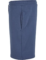 BY 251 Teplákové kraťasy model 22451461 vintage blue - Build your Brand BY 251 Teplákové kraťasy model 22451461 vintage blue - Build your Brand
