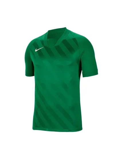 Pánska obuv Challenge III M BV6703-302 - Nike Pánska obuv Challenge III M BV6703-302 - Nike