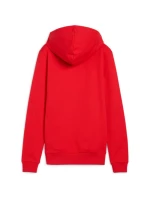 Puma Team Goal Casuals Hoody W 658621 01