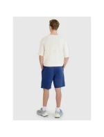 Pánske šortky regular fit SHOM543-031S modré - 4F Pánske šortky regular fit SHOM543-031S modré - 4F
