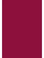 Dámské ponožky model 17766590 - Steven Dámské ponožky model 17766590 - Steven