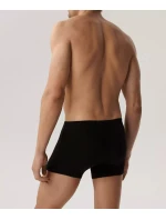 Boxerky model 21268295 A'5 - Atlantic