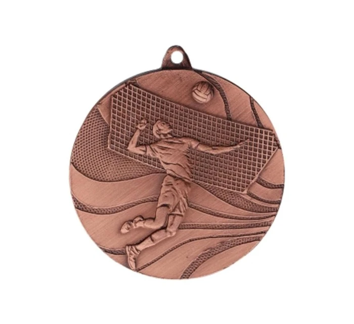 bronzová medaila - volejbal