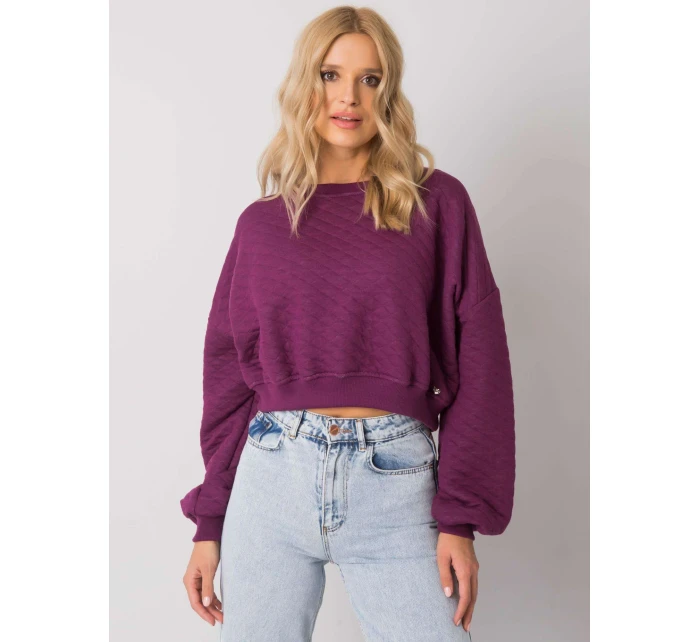 Mikina RV BL 7450.64 tmavo fialová Mikina RV BL 7450.64 tmavo fialová