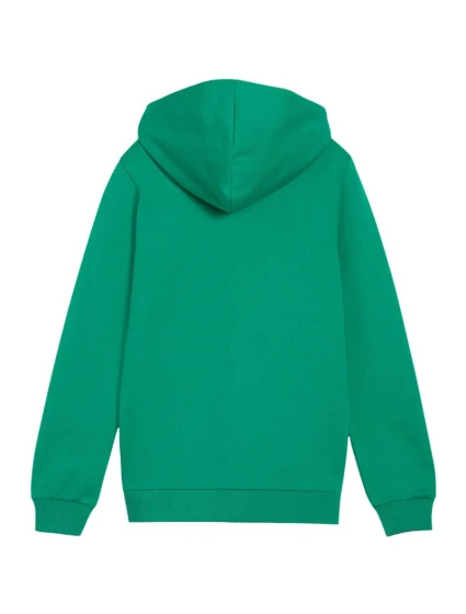 Dětská mikina teamGoal Casuals s kapucí zelená model 21720690 05 - Puma