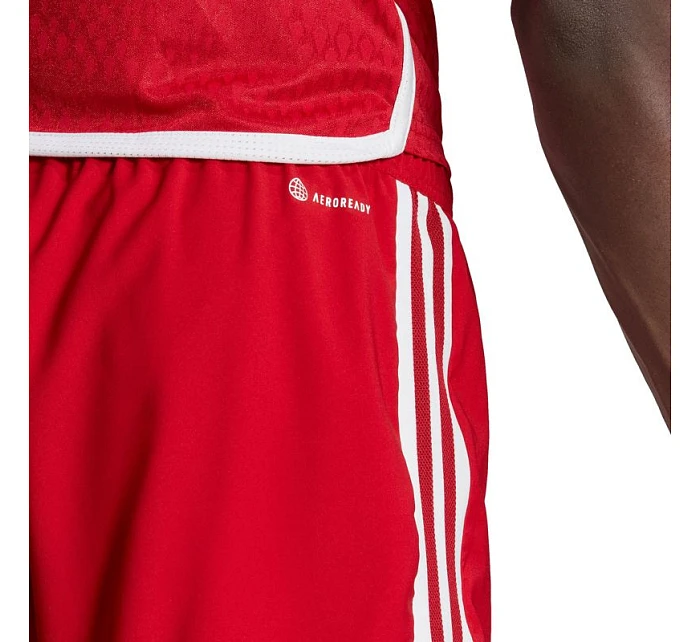 Pánske šortky adidas Tiro 23 Competition Match Red HL4790