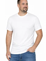 Pánske tričko Heavy 21172-20-3XL