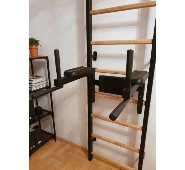 GYMNASTICKÝ REBRÍK S HRAZDOU A ZÁBRADLÍM NA CVIČENIE NA LAVIČKE 722B