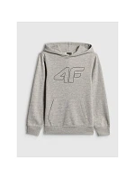 Chlapecká mikina s kapucí model 22135685 dětské - 4F