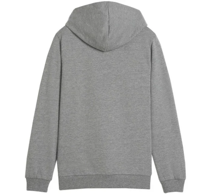 Team Goal Casuals Jr mikina 33 model 19654395 - Puma