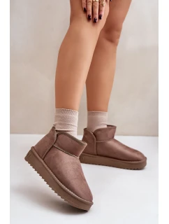 Dámské Sněhule Na Platformě model 21677079 Taupe - D.Franklin