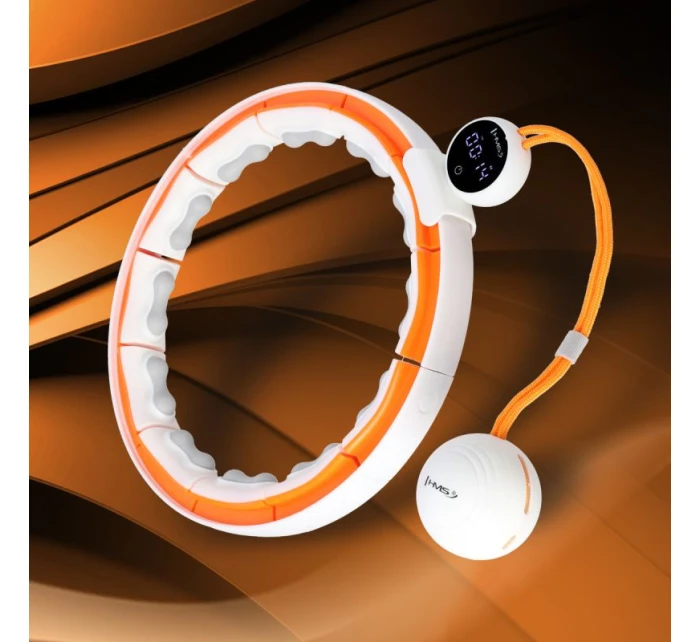 S  A +  model 21810696 - HMS