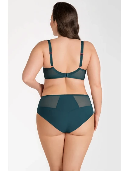 FIGI model 19033864 - Gorsenia