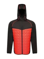 Pánska modulárna termo bunda Regatta M TRA517 92F