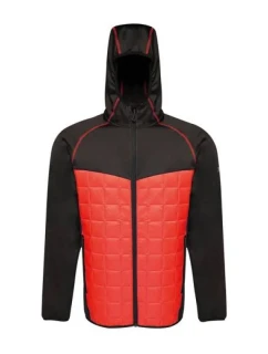 Pánska modulárna termo bunda Regatta M TRA517 92F