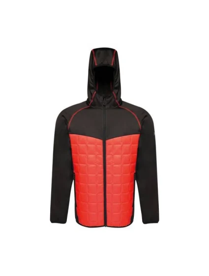 Pánská bunda Thermal M model 17084993 - Regatta Pánská bunda Thermal M model 17084993 - Regatta