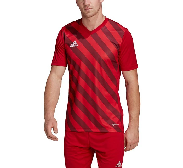 Pánsky dres Entrada 22 Graphic Jersey M HB0572 - Adidas