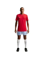 Pánske tričko Nike Dri-Fit Park 26 SS Top Red HM7127 657 Pánske