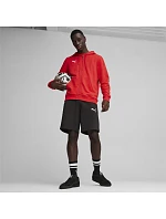 Puma Team Goal Casuals Hooded M 658595 01