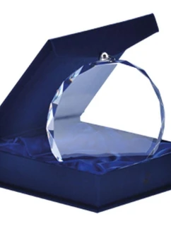 Medal model 21829683 z etui